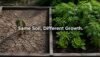Scarcity vs Abundance Mindset, and How to Actually Shift Your - Post Thumbnail