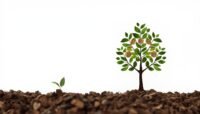 Investment Strategies for Beginners: Best Real Estate and Retirement Plans