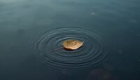 Simple Mindfulness Practices to Reduce Overthinking