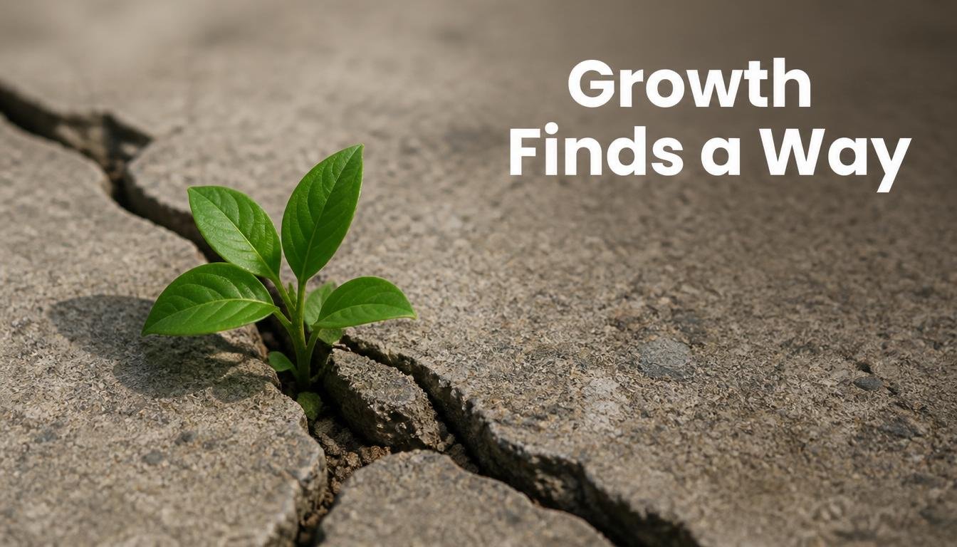 Plant breaking through concrete showing positive thinking drives growth