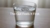 Stress Affects Stomach First Before Anything Else Catches Up - Post Thumbnail