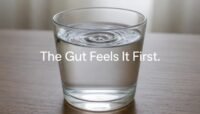 Stress Affects Stomach First Before Anything Else Catches Up